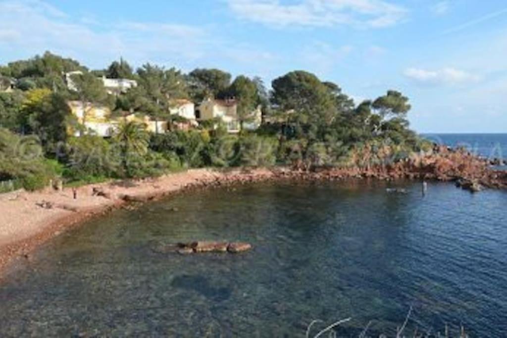 Appartement L'Evasion, Vue Mer, Plages A Pied เฟรฌูส ภายนอก รูปภาพ